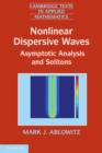 Image for Nonlinear Dispersive Waves