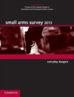 Image for Small Arms Survey 2013 : Everyday Dangers