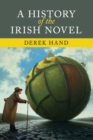 Image for A History of the Irish Novel