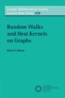 Image for Random Walks and Heat Kernels on Graphs