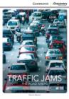 Image for Traffic jams  : the road ahead