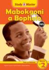 Image for Study &amp; Master Mabokgoni a Bophelo Puku ya Mosomo Mphato wa 2