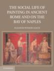 Image for The social life of painting in ancient Rome and on the bay of Naples