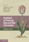 Image for Handbook of Financial Data and Risk Information 2 Volume Hardback Set