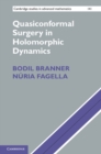 Image for Quasiconformal Surgery in Holomorphic Dynamics