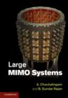 Image for Large MIMO systems