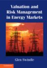 Image for Valuation and risk management in energy markets