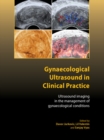Image for Gynaecological Ultrasound in Clinical Practice: Ultrasound Imaging in the Management of Gynaecological Conditions