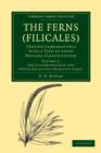 Image for The Ferns (Filicales): Volume 2, The Eusporangiatae and Other Relatively Primitive Ferns
