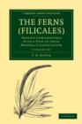 Image for The Ferns (Filicales) 3 Volume Paperback Set: Volume SET