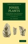 Image for Fossil Plants 4 Volume Set : A Text-Book for Students of Botany and Geology