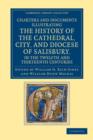 Image for Charters and Documents Illustrating the History of the Cathedral, City, and Diocese of Salisbury, in the Twelfth and Thirteenth Centuries : Selected from the Capitular and Diocesan Registers