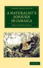 Image for A Naturalist&#39;s Sojourn in Jamaica