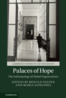 Image for Palaces of Hope: The Anthropology of Global Organizations