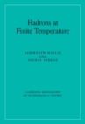 Image for Hadrons at Finite Temperature