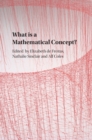 Image for What is a Mathematical Concept?
