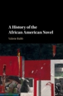 Image for A history of the African American novel