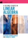 Image for A second course in linear algebra