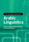 Image for The Cambridge Handbook of Arabic Linguistics