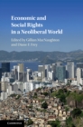 Image for Economic and Social Rights in a Neoliberal World