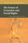 Image for The future of economic and social rights