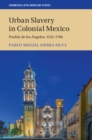 Image for Urban Slavery in Colonial Mexico: Puebla de los Angeles, 1531-1706