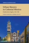Image for Urban slavery in colonial Mexico  : Puebla de los âAngeles, 1531-1706