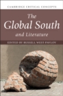 Image for The global south and literature