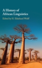 Image for A History of African Linguistics