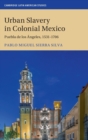 Image for Urban slavery in colonial Mexico  : Puebla de los âAngeles, 1531-1706