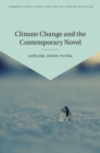 Image for Climate change and the contemporary novel