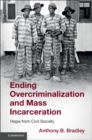 Image for Ending overcriminalization and mass incarceration  : hope from civil society