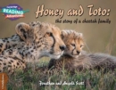 Image for Honey and Toto  : the story of a cheetah family1