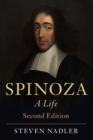Image for Spinoza  : a life