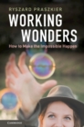 Image for Working wonders  : how to make the impossible happen