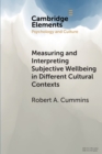 Image for Measuring and interpreting subjective wellbeing in different cultural contexts  : a review and way forward