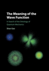 Image for The Meaning of the Wave Function