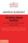 Image for Thinking about Statutes