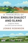 Image for A thesaurus of English dialect and slang  : England, Wales and the Channel Islands