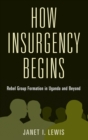 Image for How insurgency begins  : rebel group formation in Uganda and beyond