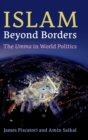 Image for Islam beyond borders  : the umma in world politics