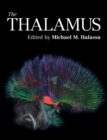 Image for The Thalamus