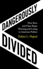 Image for Dangerously divided  : how race and class shape winning and losing in American politics