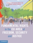 Image for Fundamental Rights in the EU Area of Freedom, Security and Justice