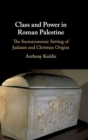 Image for Class and power in Roman Palestine  : the socioeconomic setting of Judaism and Christian origins