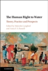 Image for The Human Right to Water: Theory, Practice and Prospects