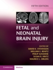 Image for Fetal and neonatal brain injury.