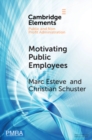 Image for Motivating public employees