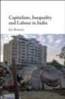 Image for Capitalism, Inequality and Labour in India