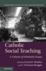 Image for Catholic Social Teaching: A Volume of Scholarly Essays